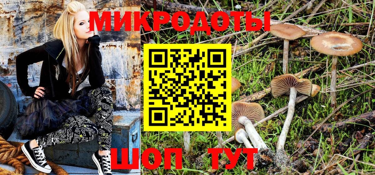 Галлюциногенные грибы Magic Shrooms  Вход с VPN  Урус-Мартан 